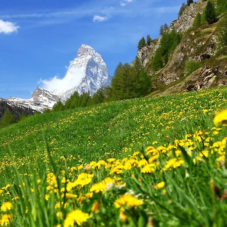 Pasadena-3 By Interhome * Zermatt